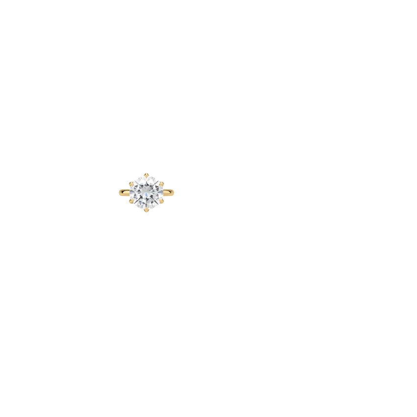 Ring on Hand