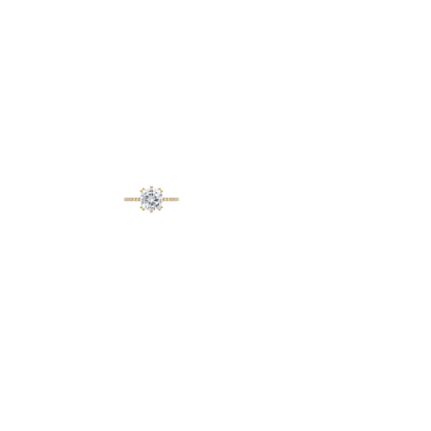 Ring on Hand