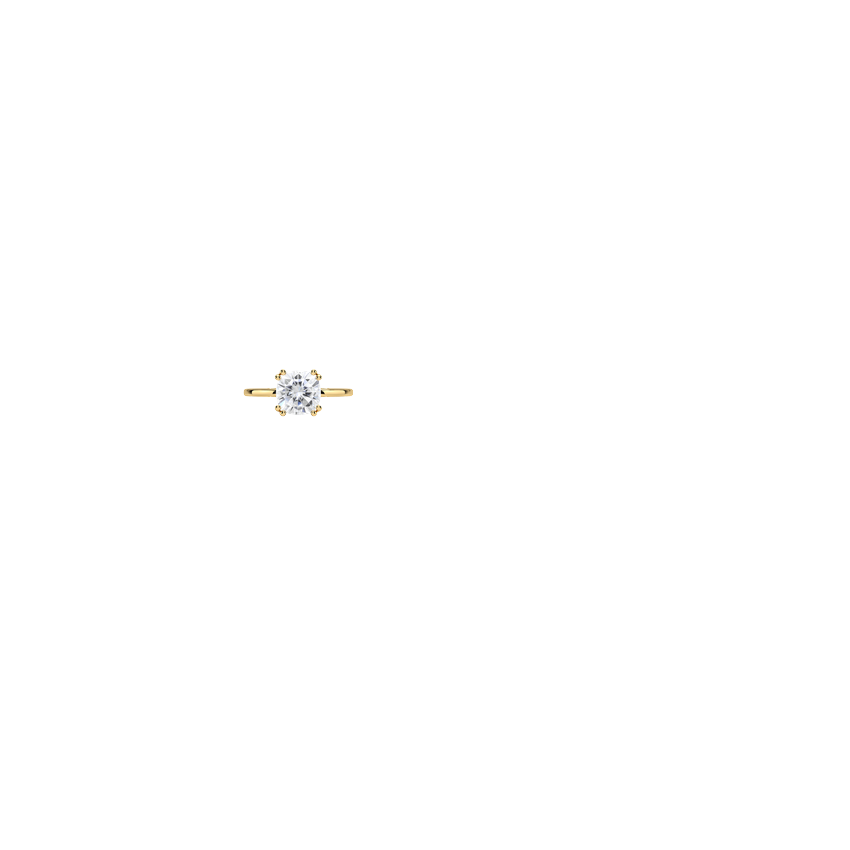 Ring on Hand