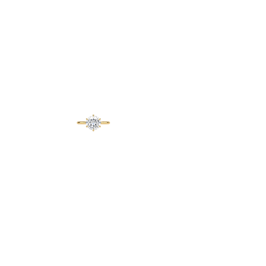 Ring on Hand