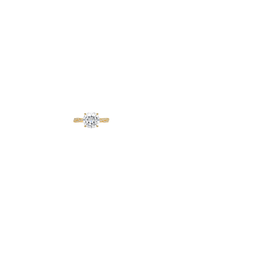 Ring on Hand