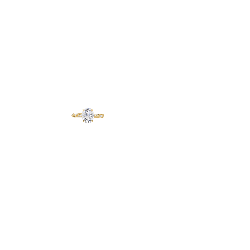 Ring on Hand