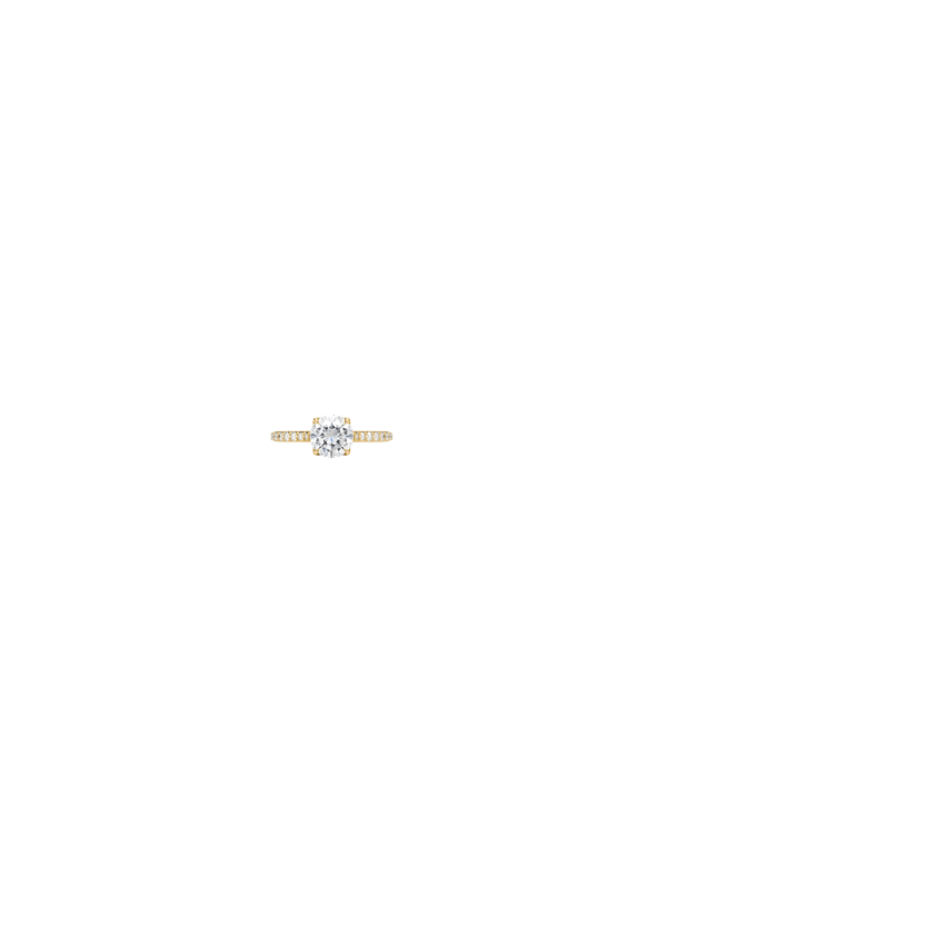 Ring on Hand