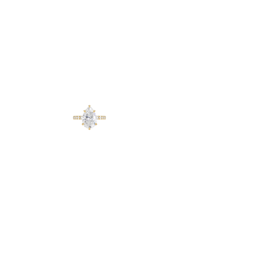 Ring on Hand
