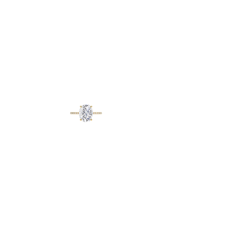 Ring on Hand
