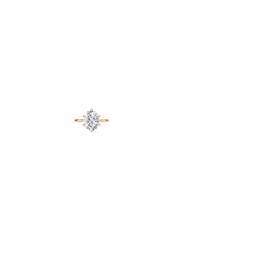 Ring on Hand