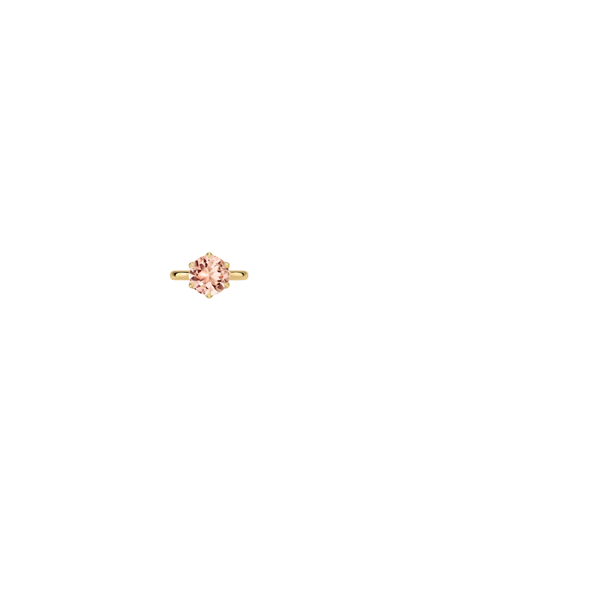 Ring on Hand