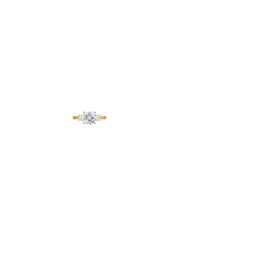 Ring on Hand