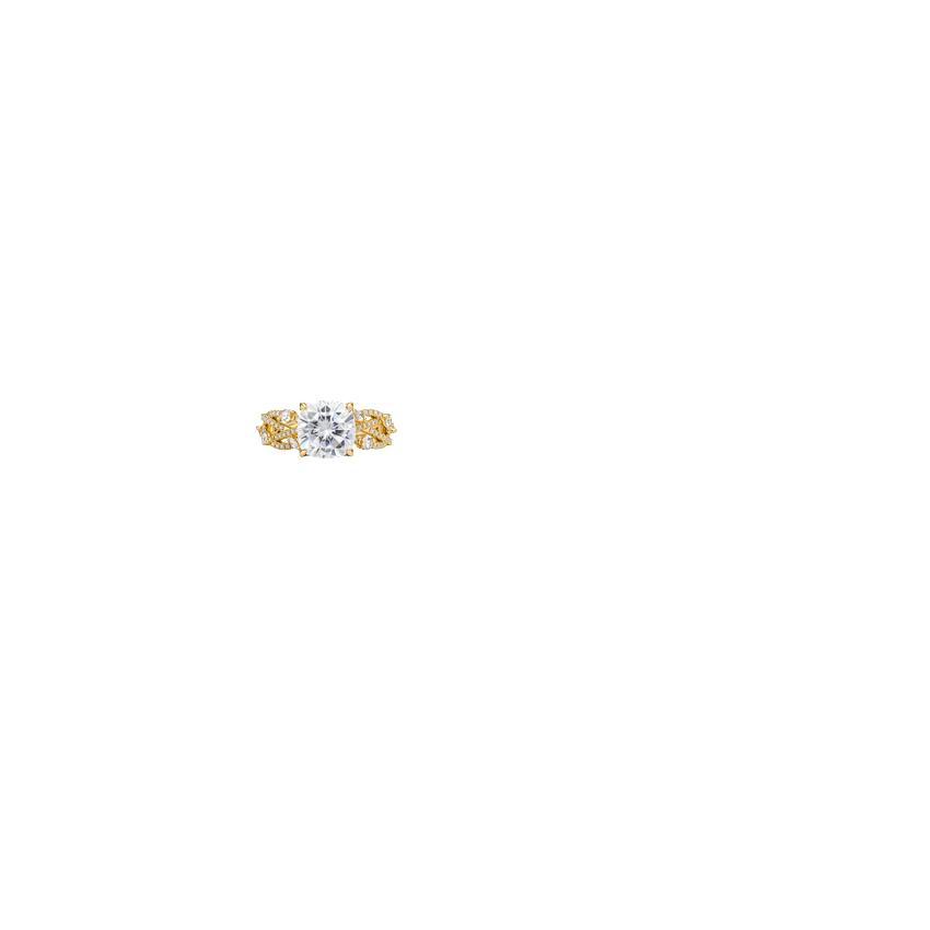 Ring on Hand