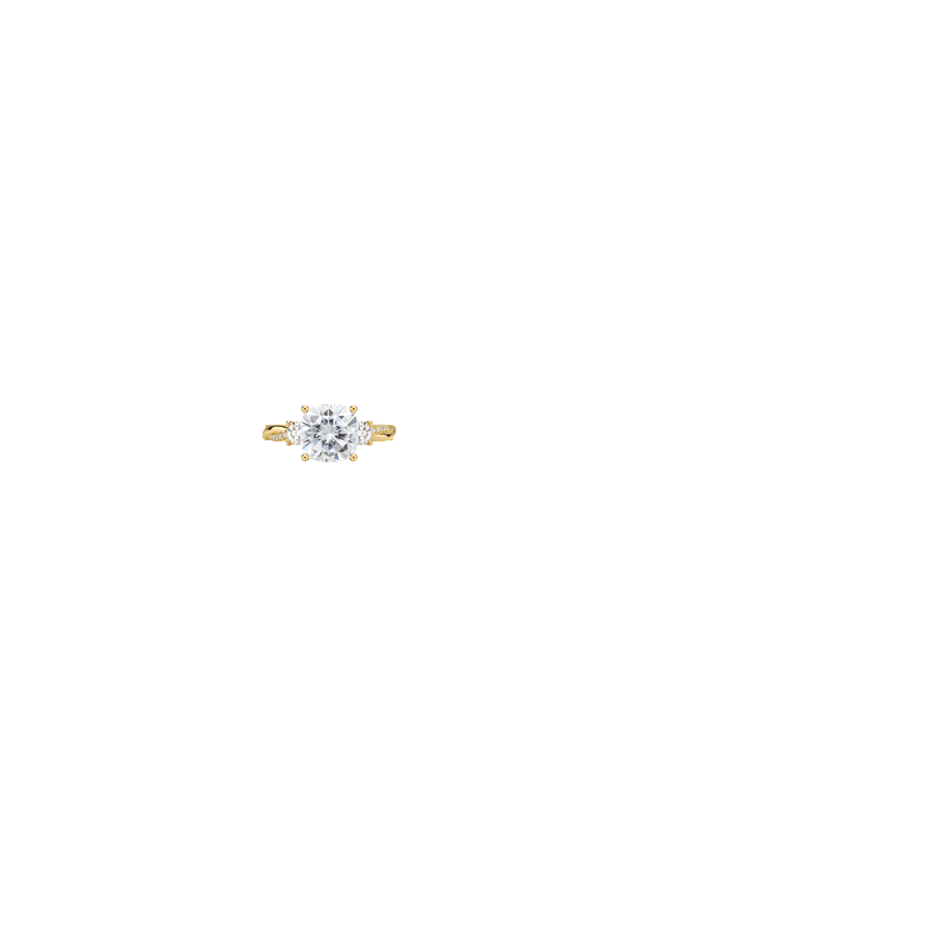 Ring on Hand