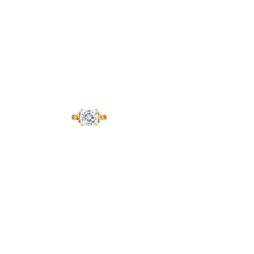 Ring on Hand
