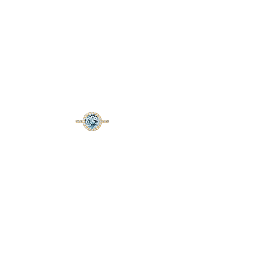 Ring on Hand