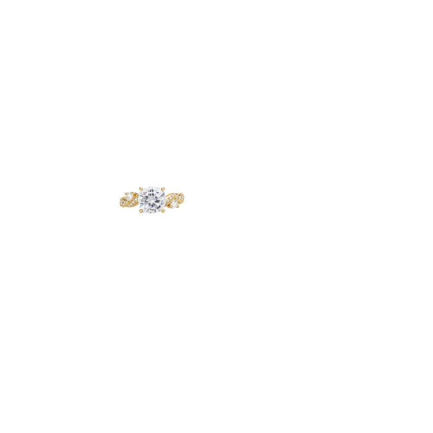 Ring on Hand
