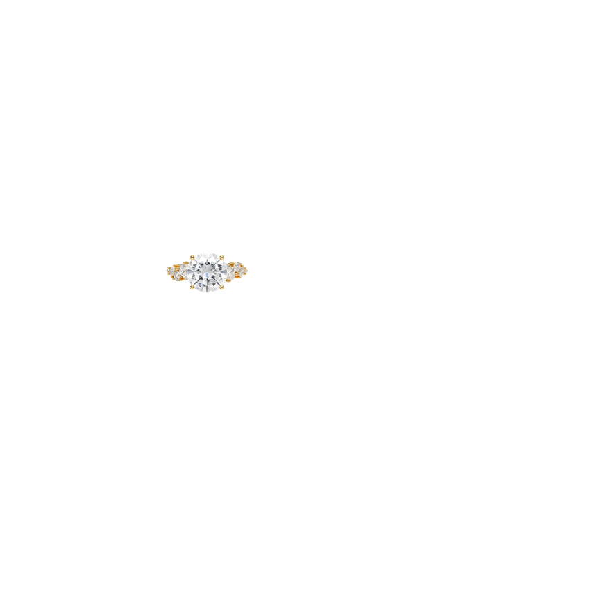 Ring on Hand
