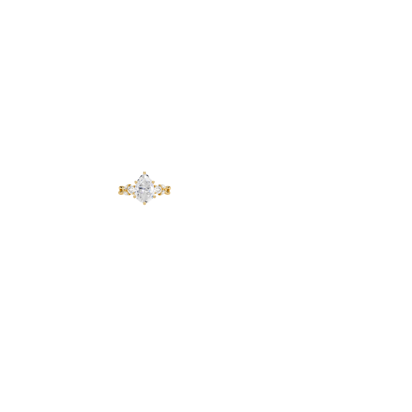 Ring on Hand