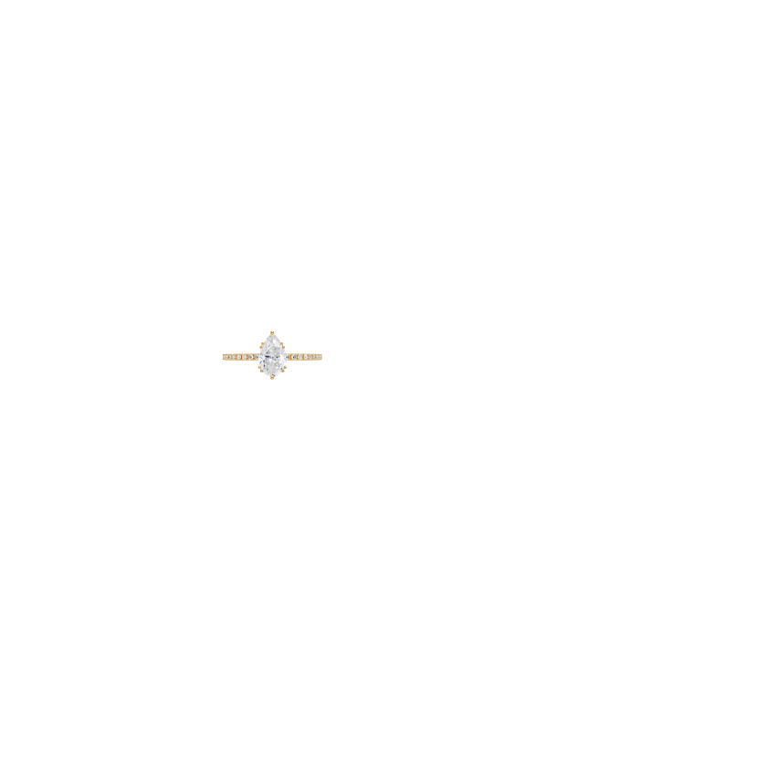 Ring on Hand