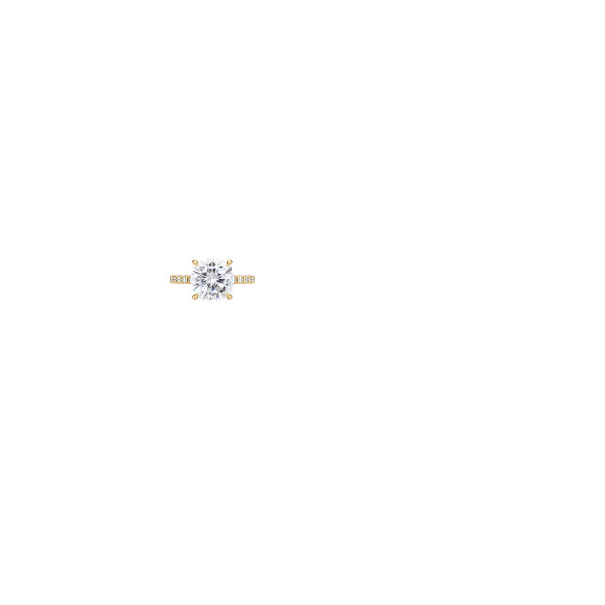 Ring on Hand