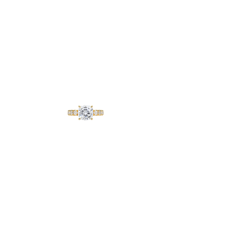 Ring on Hand