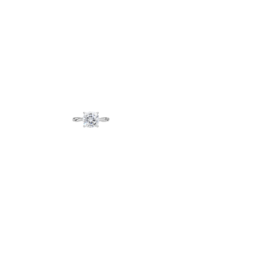 Ring on Hand