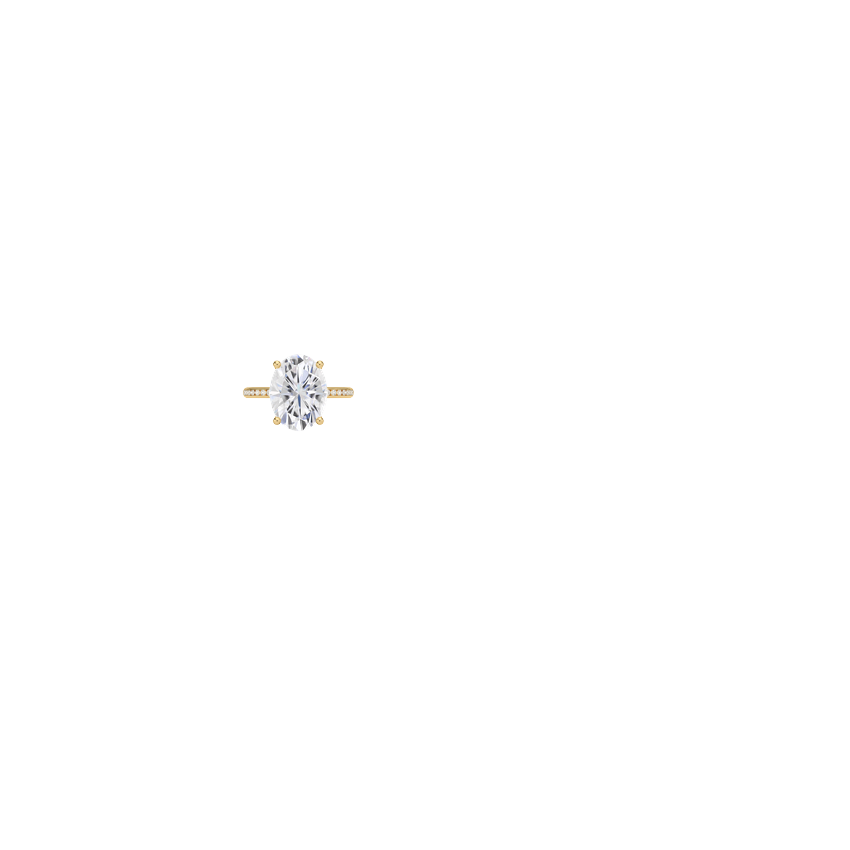 Ring on Hand