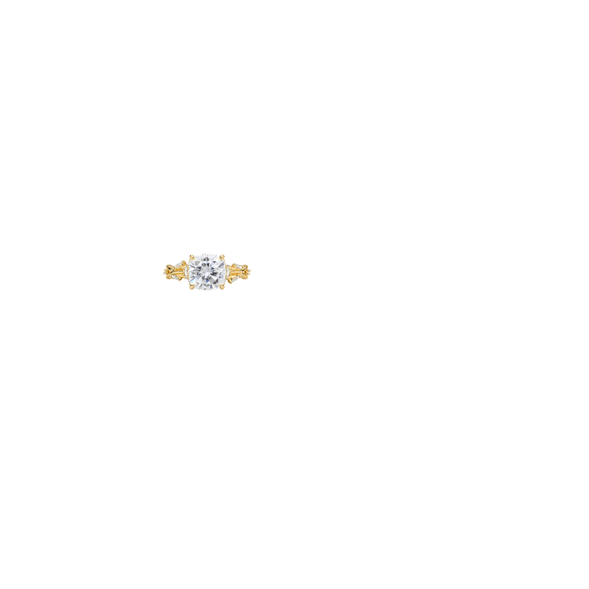 Ring on Hand