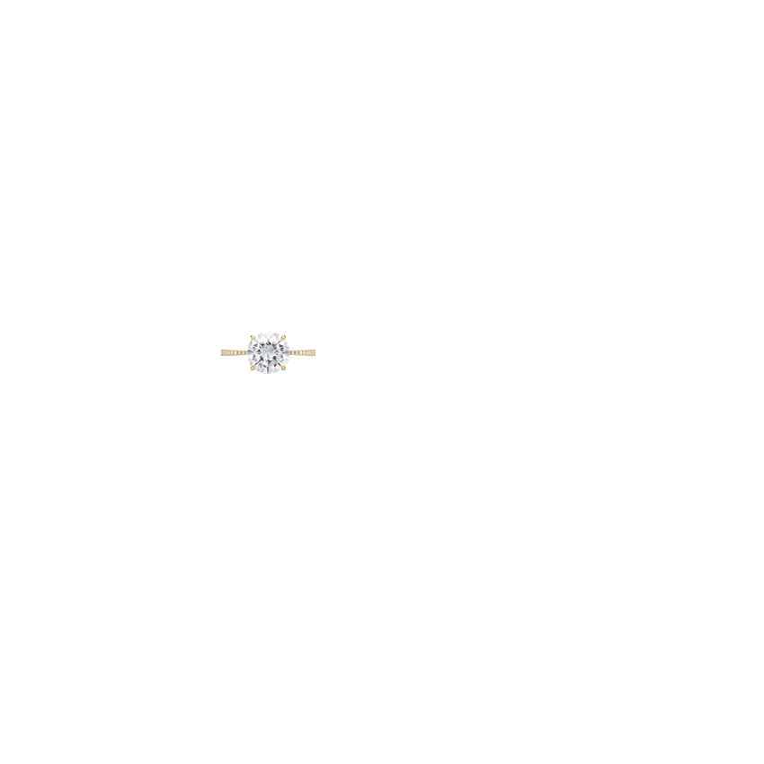 Ring on Hand
