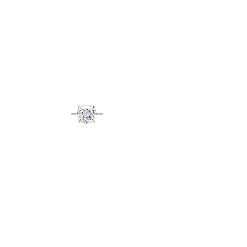 Ring on Hand