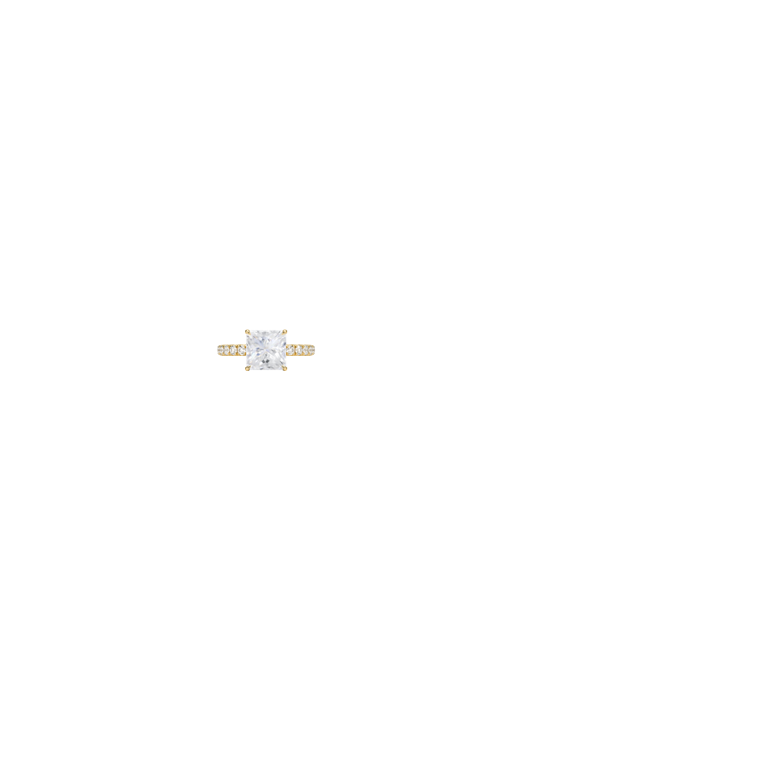 Ring on Hand