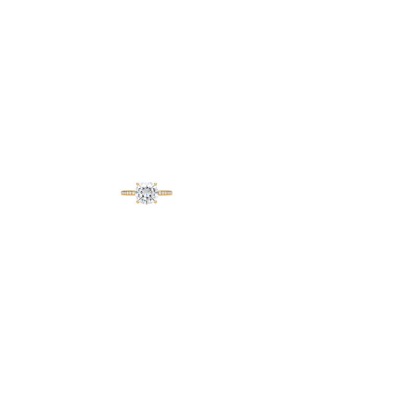 Ring on Hand