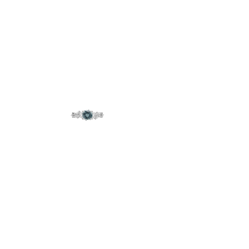 Ring on Hand