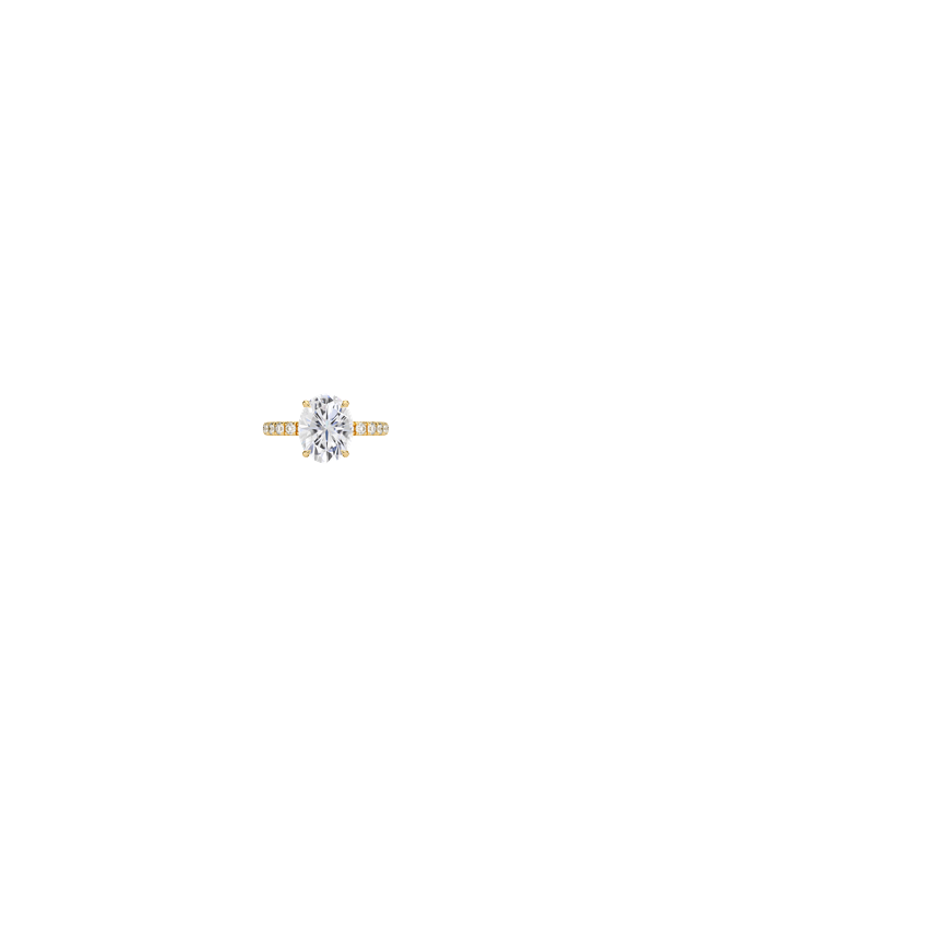 Ring on Hand