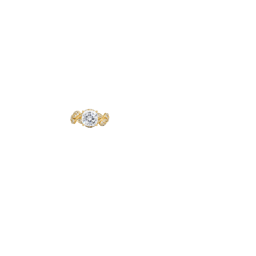 Ring on Hand
