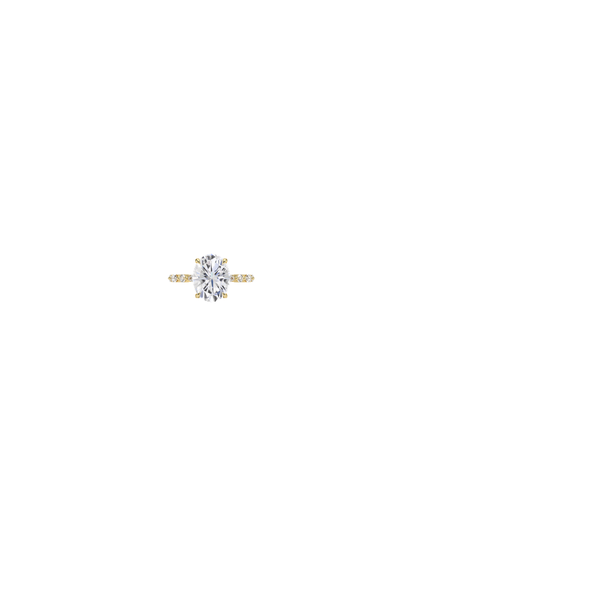 Ring on Hand