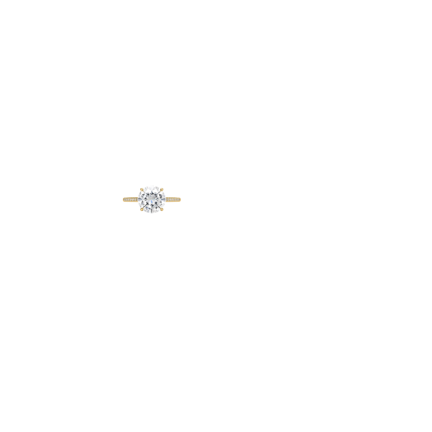 Ring on Hand