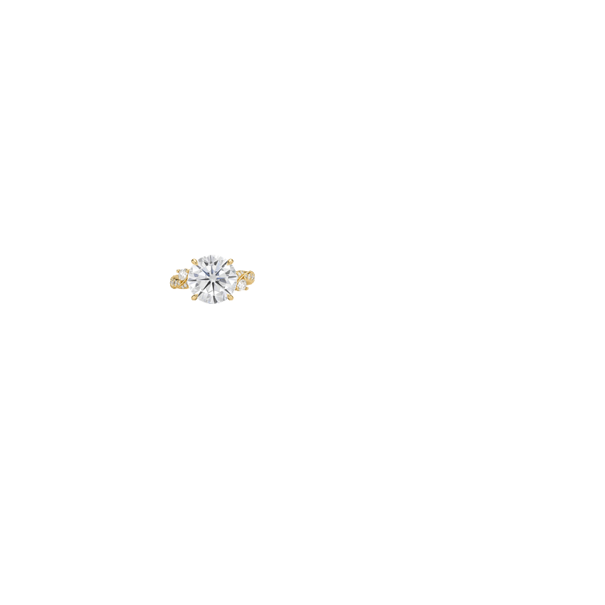 Ring on Hand