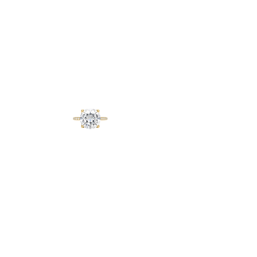 Ring on Hand