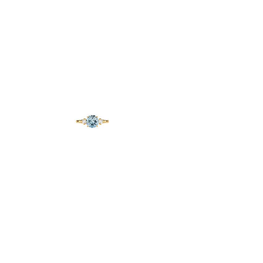Ring on Hand