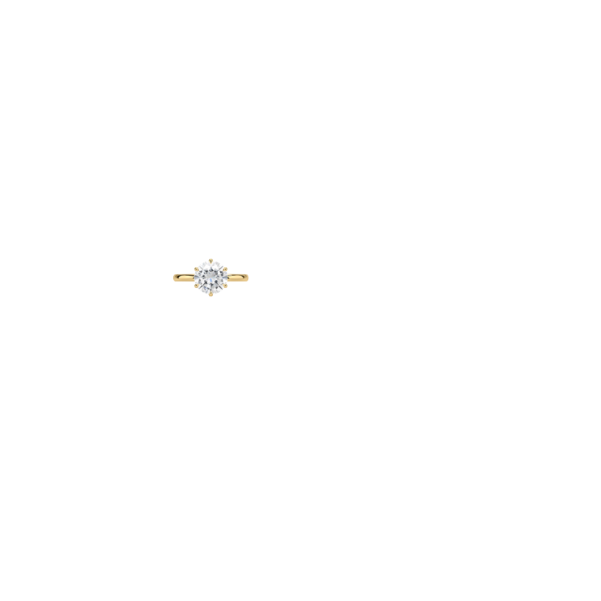 Ring on Hand