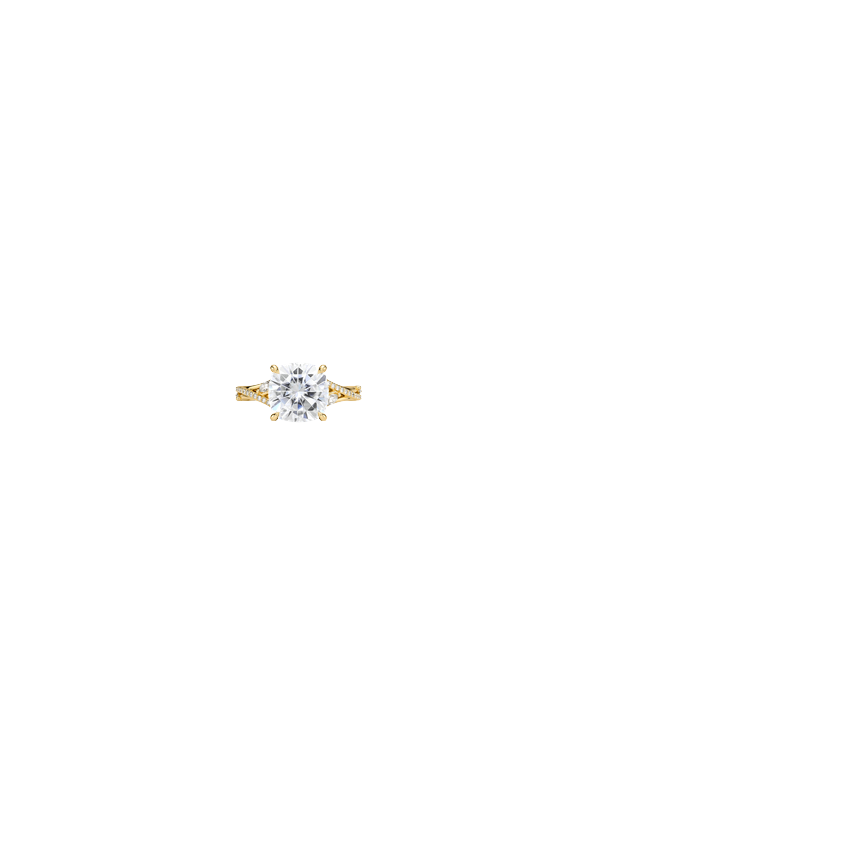 Ring on Hand