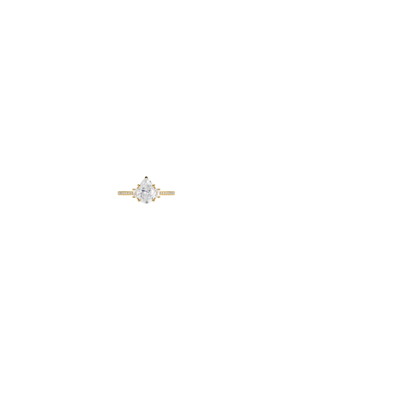 Ring on Hand
