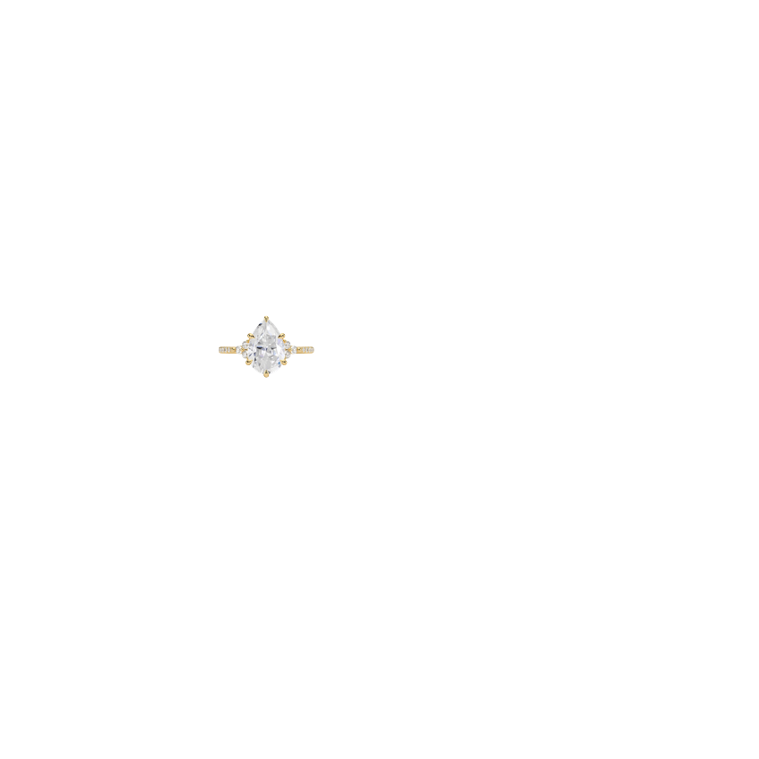 Ring on Hand