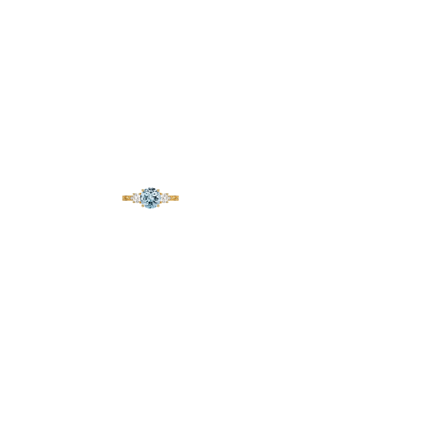 Ring on Hand
