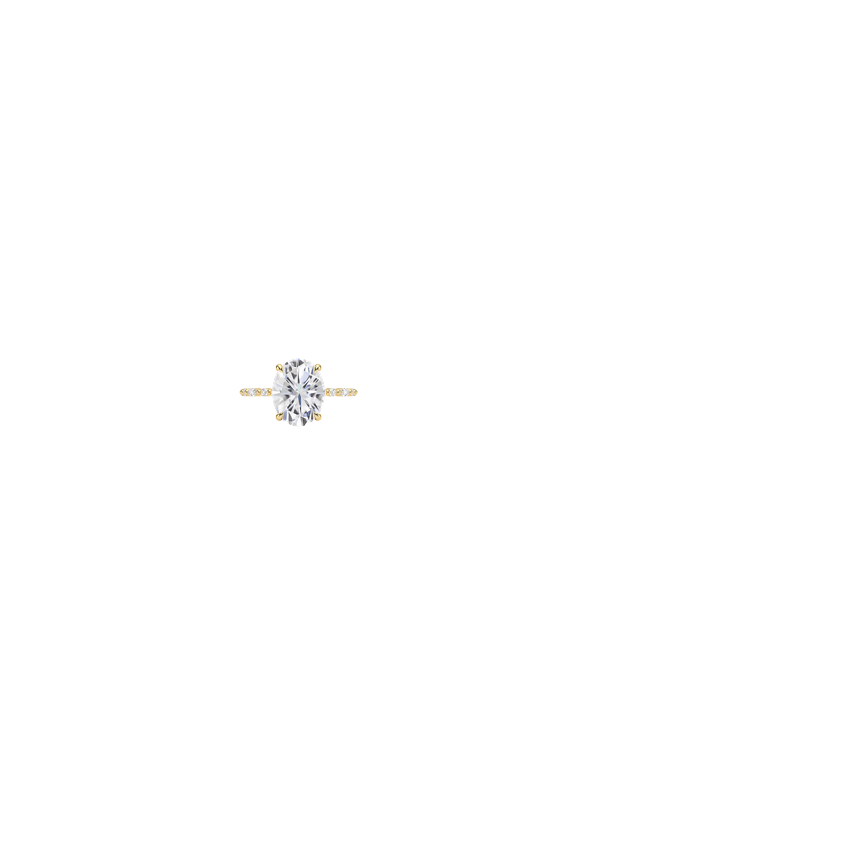 Ring on Hand