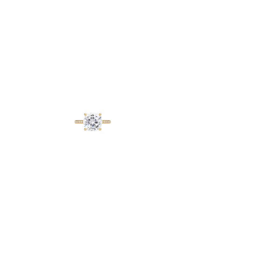 Ring on Hand