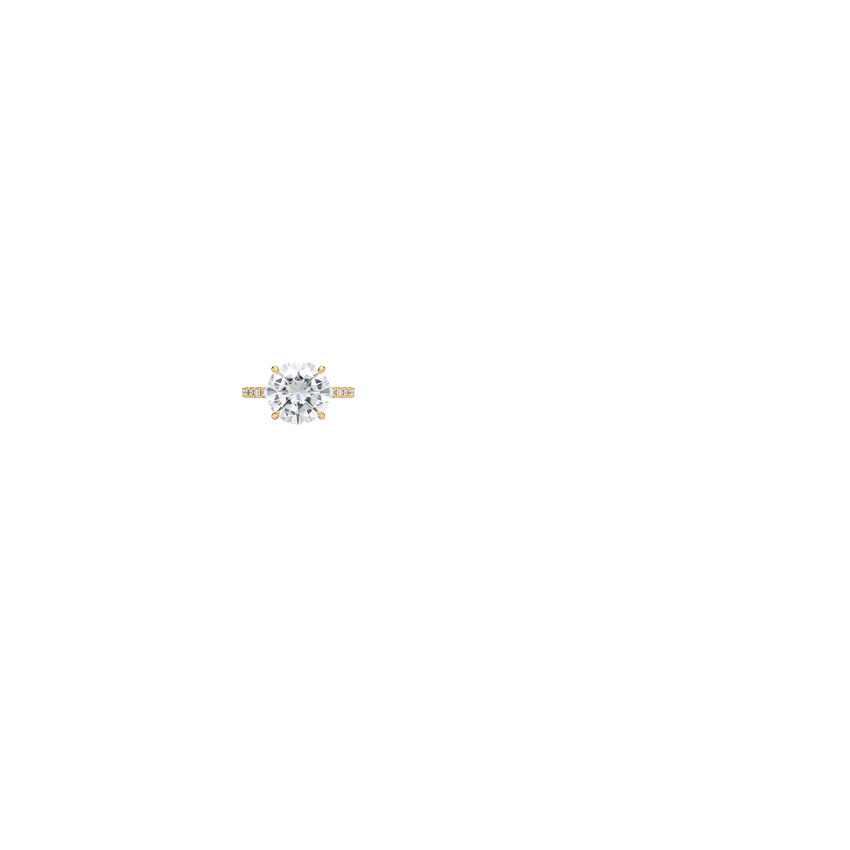 Ring on Hand