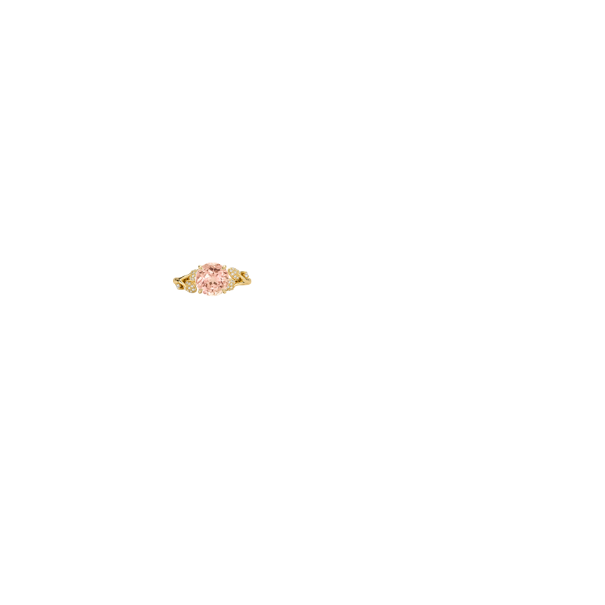Ring on Hand