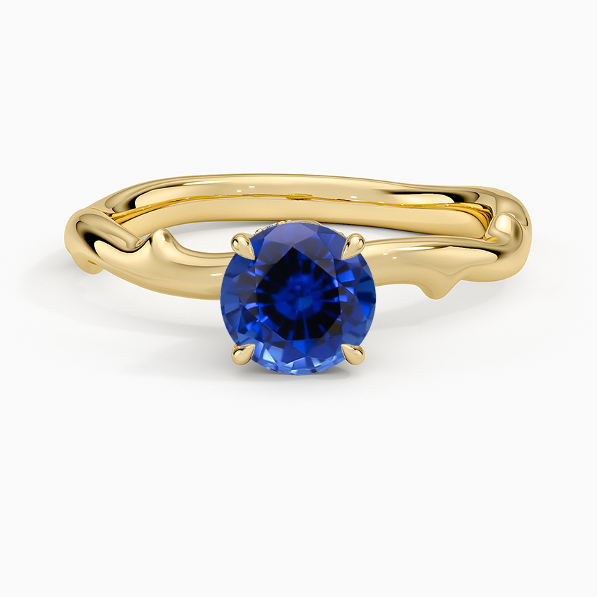 Sapphire Rose Thorn Hidden Accent Diamond Ring (1/4 ct. tw.) in 18K Yellow Gold