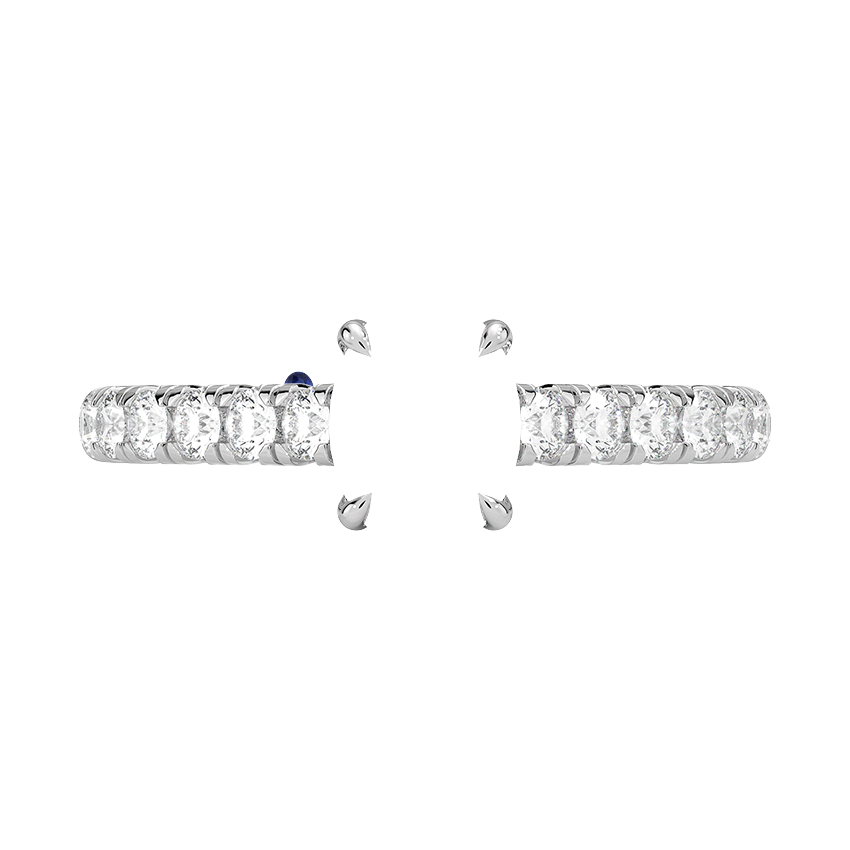 Ring on Hand