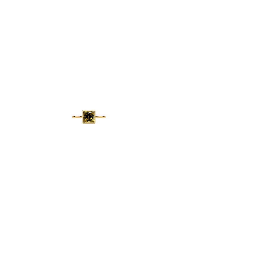 Ring on Hand