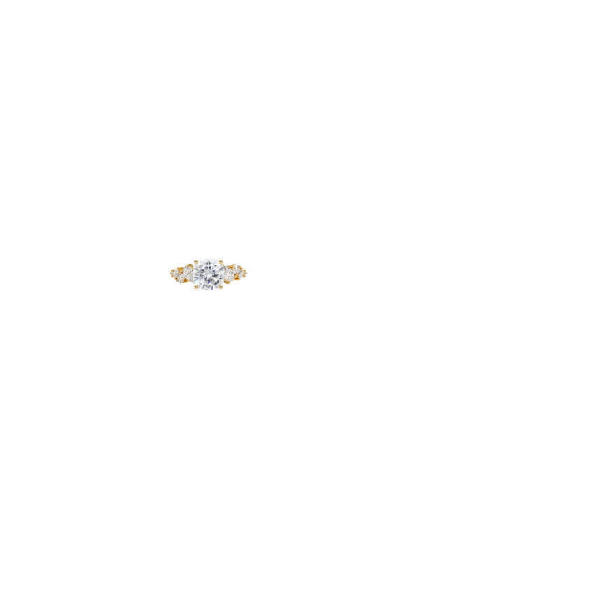 Ring on Hand